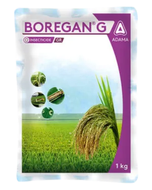 BOREGAN G | INSECTICIDE