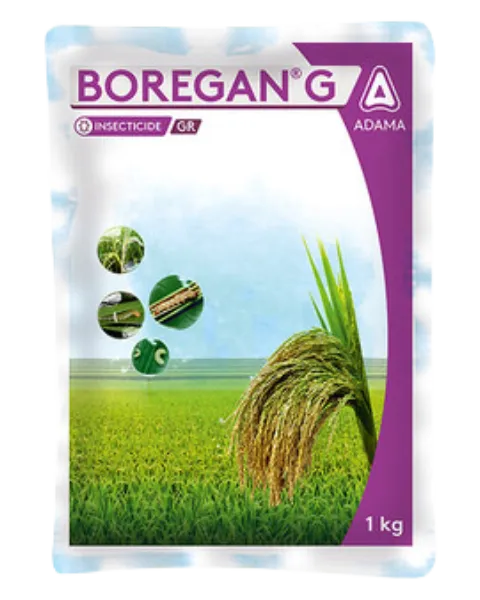 BOREGAN G | INSECTICIDE