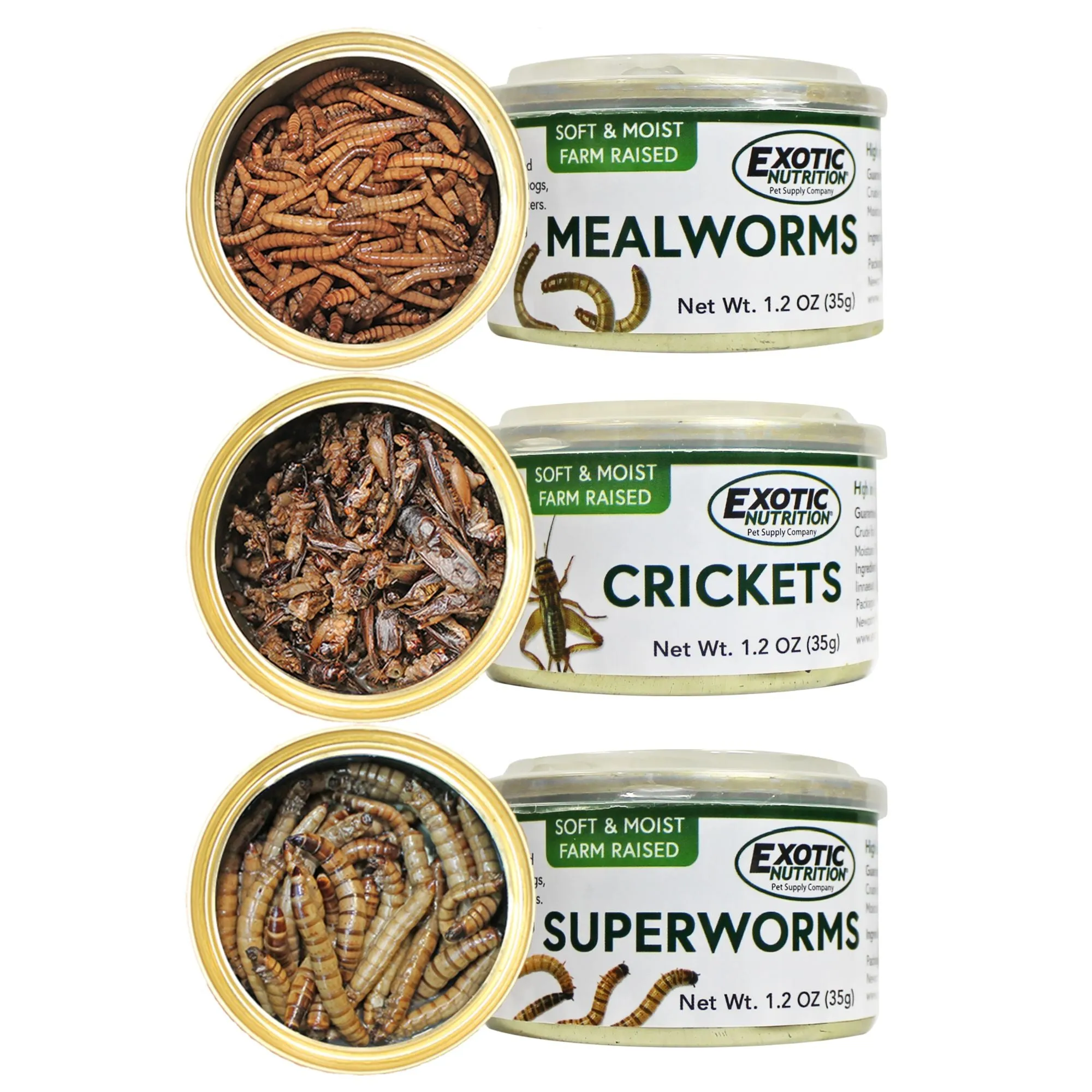 Canned Insect Assortment