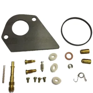 Carburetor Overhaul kit Briggs and Stratton 497481 496622