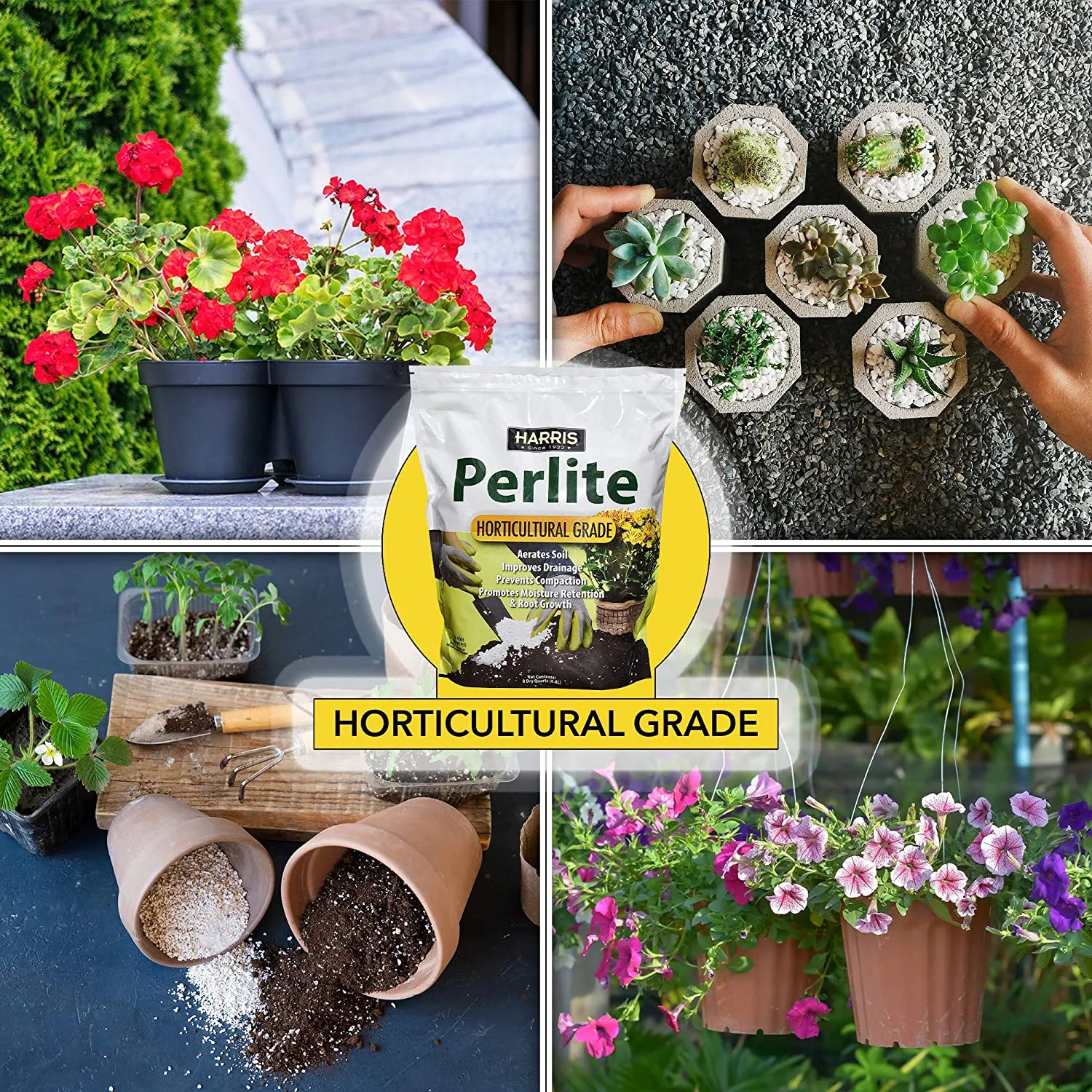 Harris Perlite (8 dry quarts)