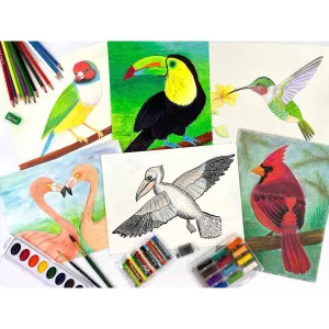 Homeschool Art B - Birds