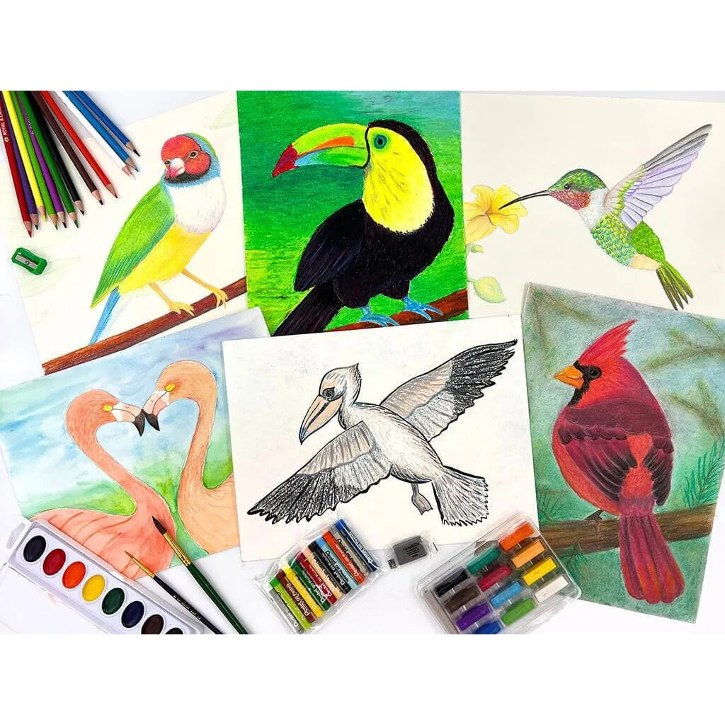 Homeschool Art B - Birds