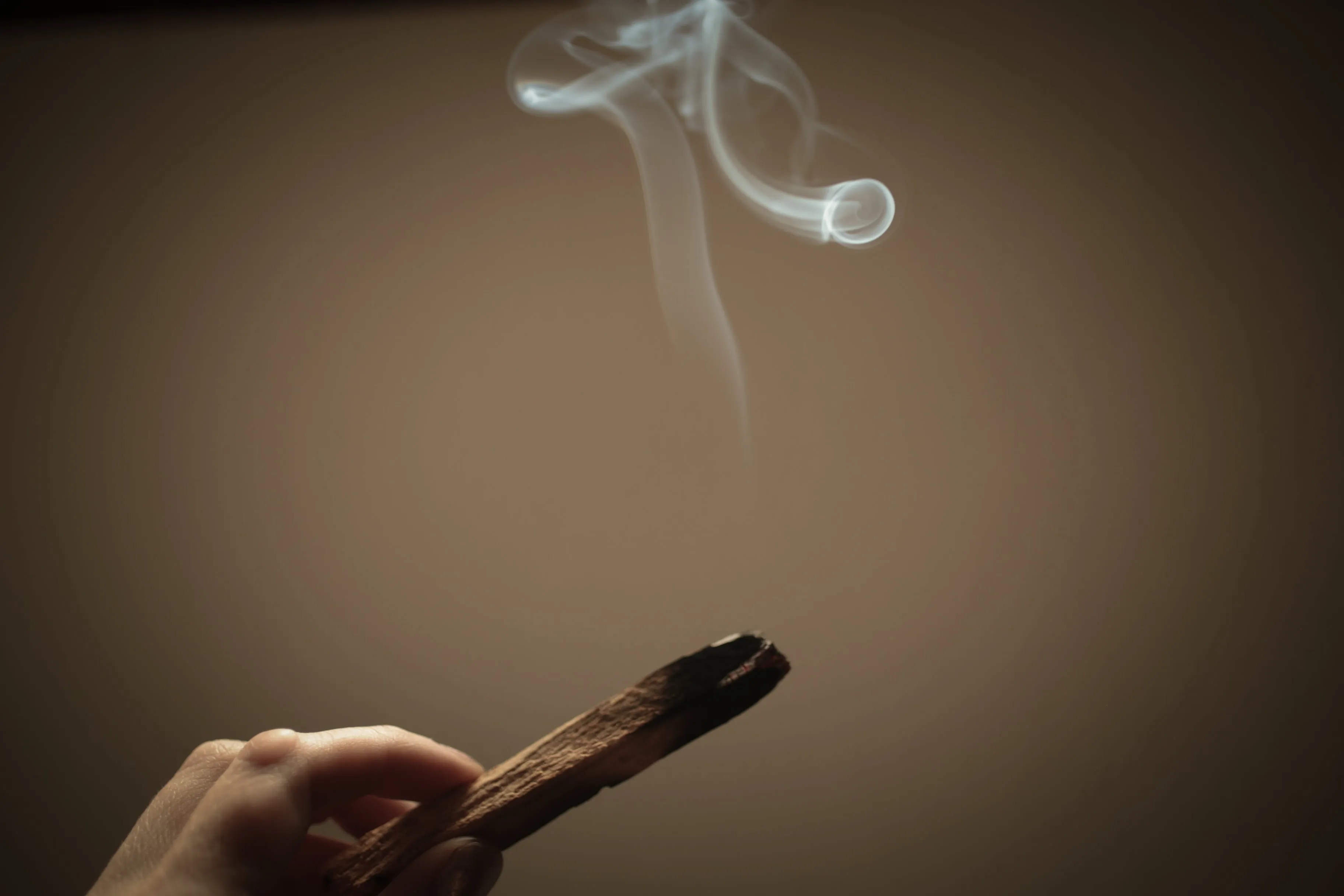 Palo Santo Incense