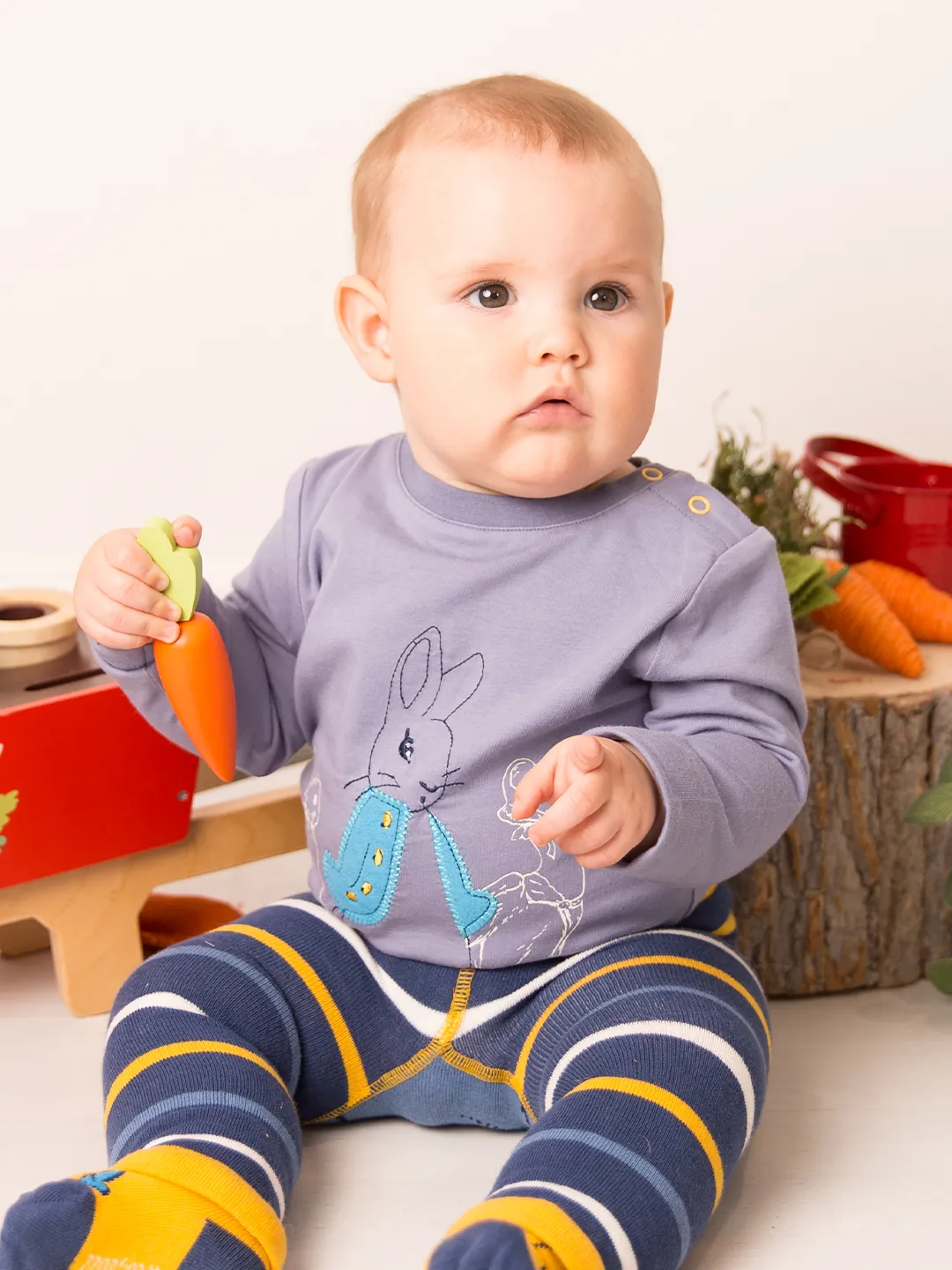 Peter Rabbit Modern Mix Top