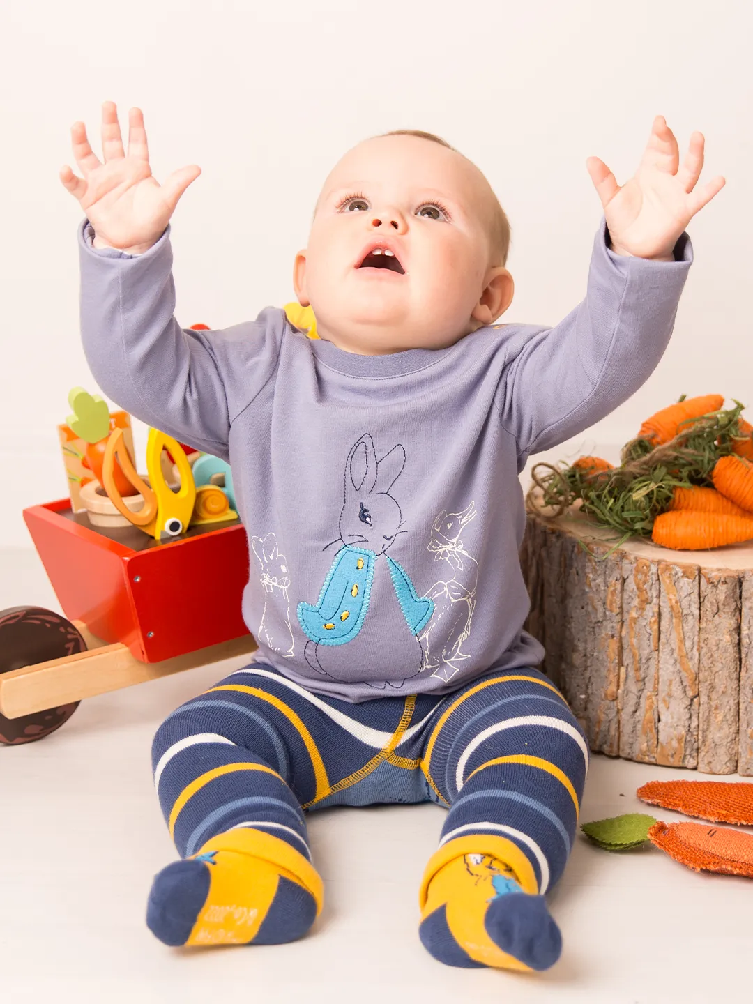 Peter Rabbit Modern Mix Top