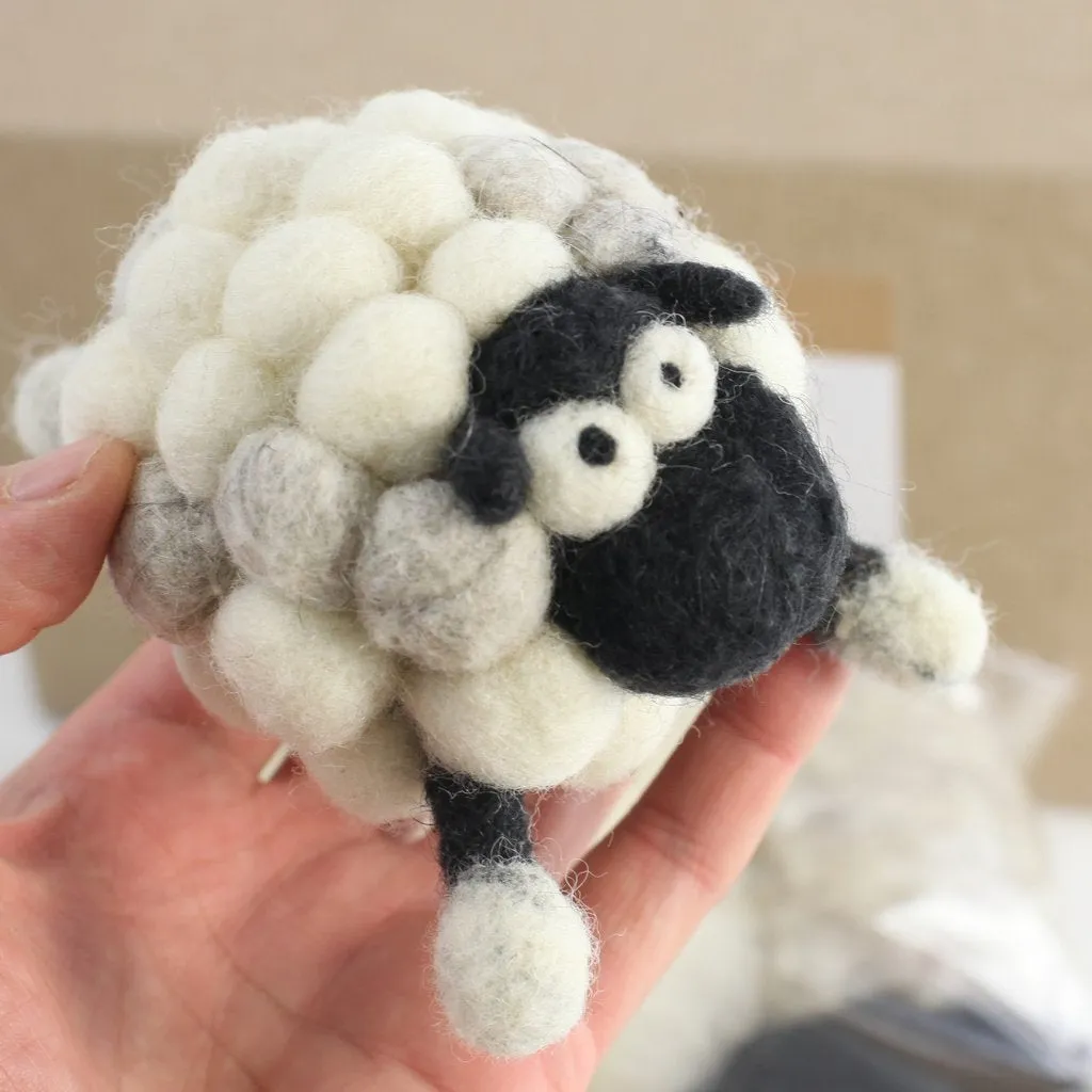 Woolbuddy®Needle Felting Kits